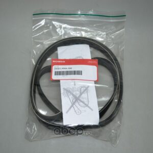 Honda CR-V 2007-2012 Alternator Belt