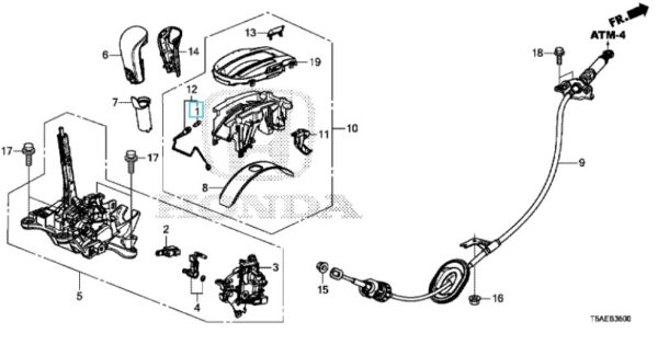 Honda Jazz CVT 2016-2020 Gear Select Bulb