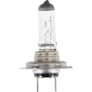 Honda H7 Bulb