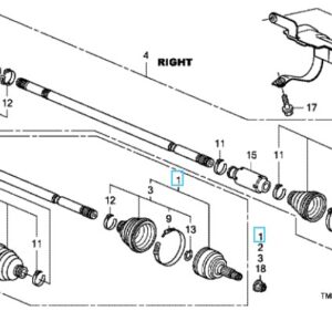 Honda Insight 2011-2013 OSF Outer CV Joint