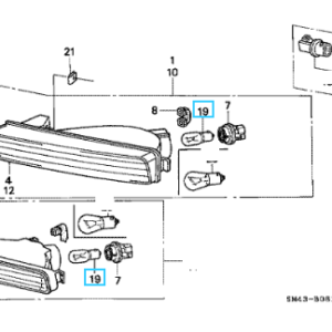 Honda Various Models- Bulb various uses