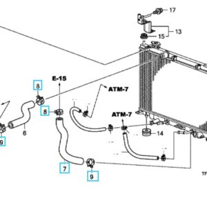 Honda Lower Radiator Hose Clip - various models